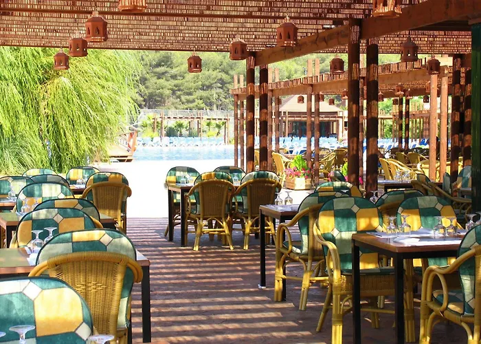 Camping Torre De La Mora