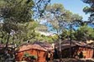Camping Torre De La Mora 2*