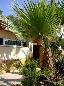 Camping Torre De La Mora Tarragona